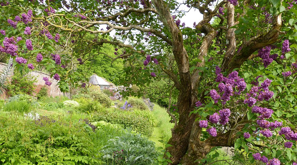 Garten1