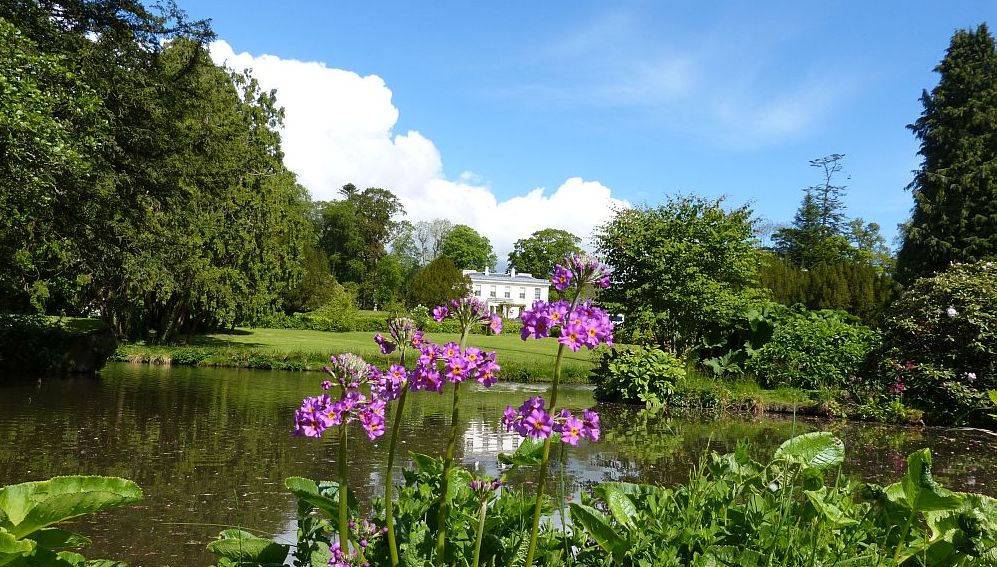 Irland Killineer 2